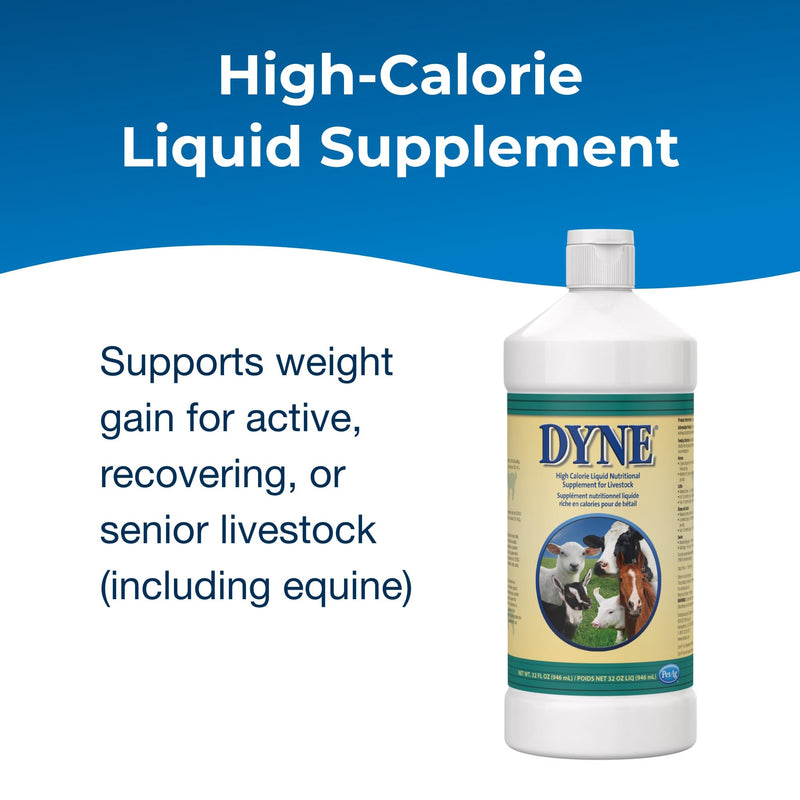 Pet-Ag Dyne High Calorie Liquid Nutritional Supplement for Livestock - 32 oz - Includes Added Vitamins - Excellent for Underweight, Stressed, or Recovering Animals