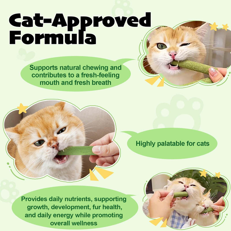 Cat Grass Treats & Cat Dental Treats for Indoor Cats, Made with Feline Grass & Chicken Breast, Healthy Temptation Cats Treat for Training, Snacking & Dental Care, Natural Kitten & Adult Kitty Biscuits