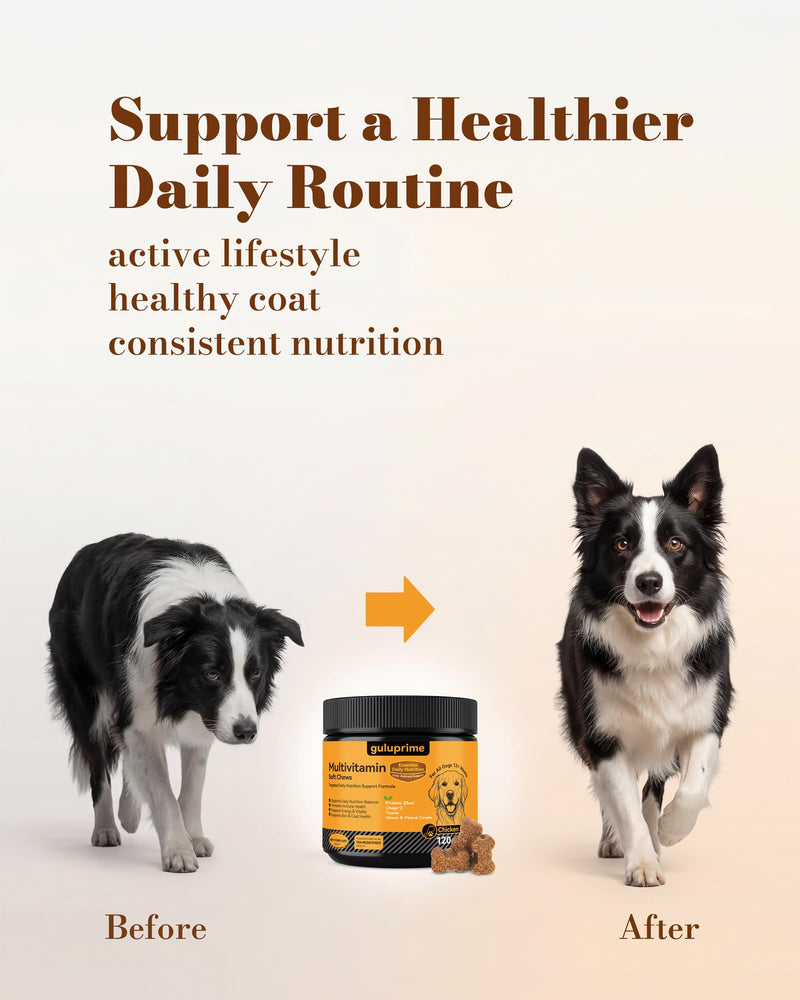 Dog Multivitamin Soft Chews – Daily Dog Vitamins & Supplements for Immunity, Skin & Coat, Digestion & Overall Wellness, Tasty Chewable Vitamins for Dogs, All Breeds & Ages, Chicken Flavor, 120 Chews