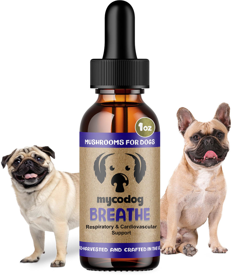 MycoDog Breathe - Respiratory Support Supplement for Dogs - Breathing Comfort & Airway Health - French Bulldogs, Pugs, & Flat-Faced Breeds - Natural Mushroom and Ashwagandha Drops - 1 oz