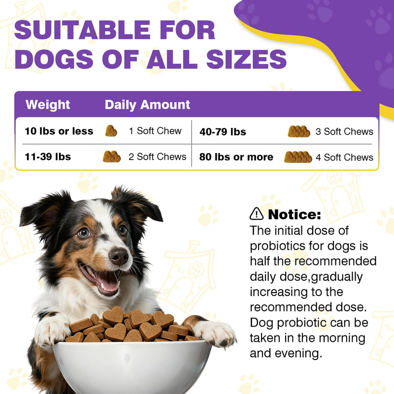 Probiotics for Dogs Dog Probiotics for Digestive Health Gut Health for Dogs Probiotic Dog Chews Probiotics for Dogs Immune Support Chicken Flavor 50ct