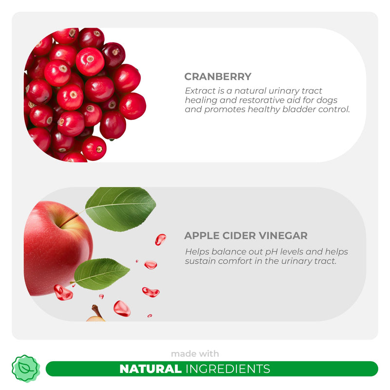 Cranberry + Turmeric for Dogs Bundle - Urinary Tract & Anti Inflammatory Support - UT Support, Joint Support, Antioxidant Combo - PawsPlanet Australia
