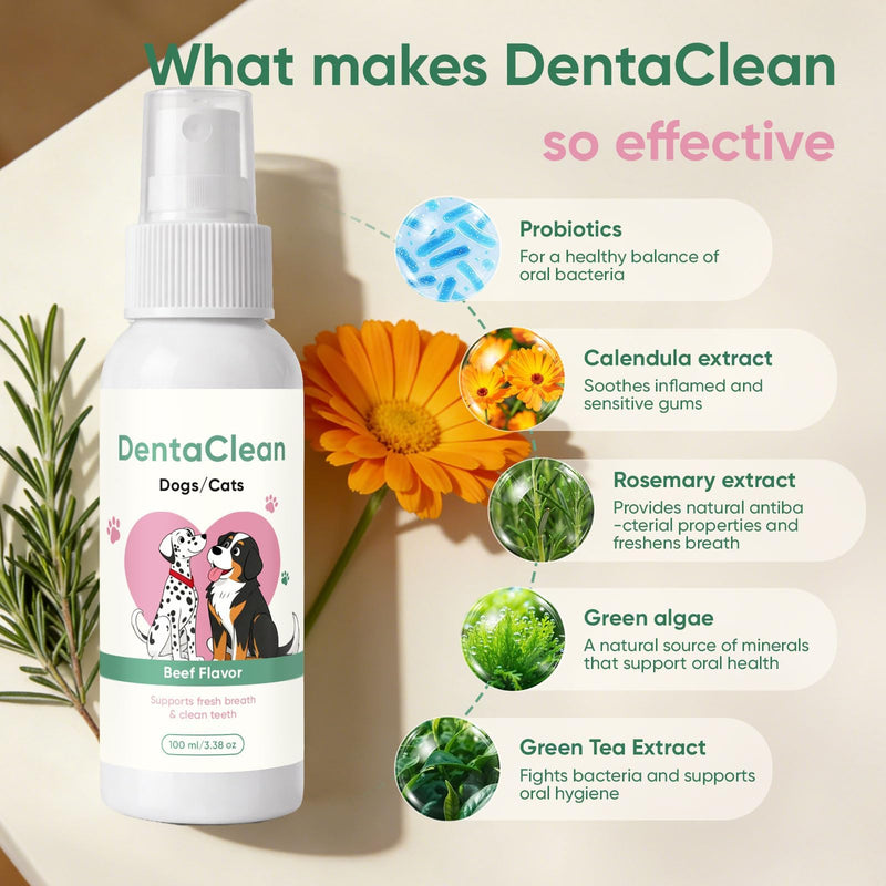 Dentaclean for Dogs & Cat, Dental Spray with Probiotics, Calendula Extract, Rosemary and Green Tea Extract, Eliminate Bad Breath, Fresher Breath & Cleaner Teeth, No Brushing, 100 ml/3,38 Oz (1) 1
