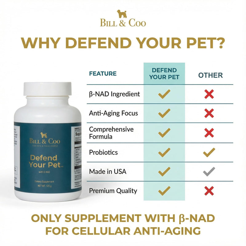 BILL & COO Defend Your Pet ß-NAD Supplement for Senior Dogs – Advanced Cellular Anti-Aging with Vitamins C, D, K2, Probiotics & Digestive Enzymes for Immune Support, Longevity & DNA Integrity – 105g