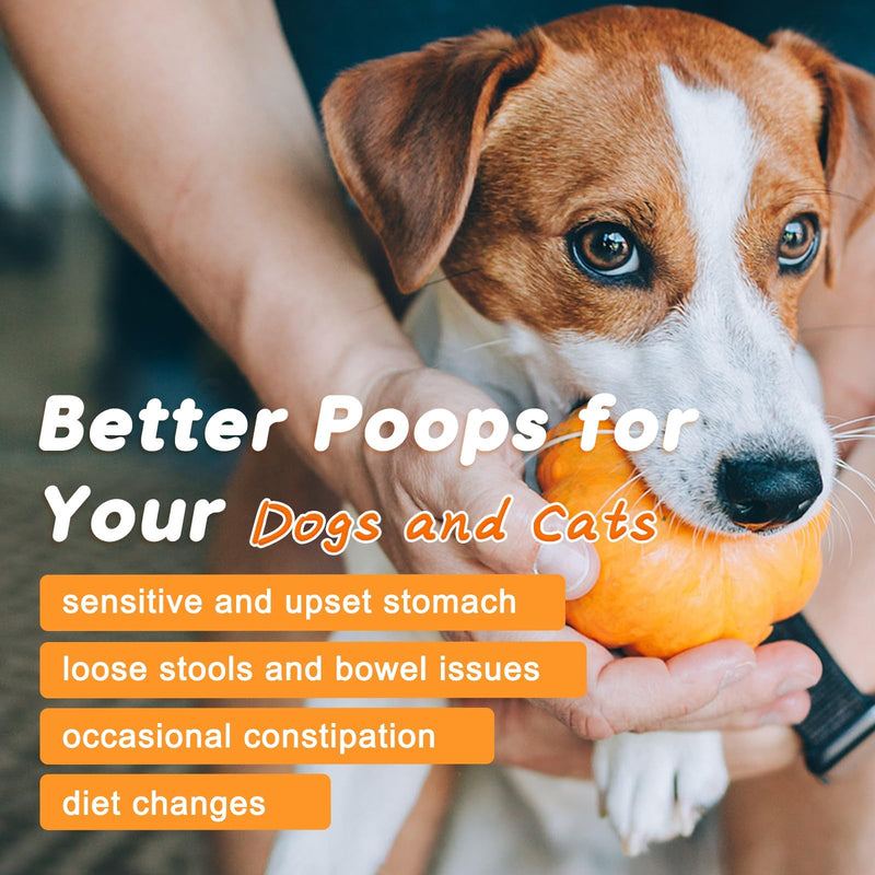 Multivitamin for Dogs Soft Chews & Pumpkin Powder for Dogs