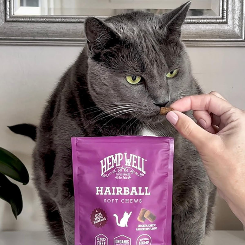 Hemp Well Cat Hairball Soft Chews for Cats, Hairball Control & Digestive Support, Organic Hemp Seed Powder, Pumpkin Seed & Psyllium Fiber, Skin & Coat Support, Chicken Cheese & Catnip Flavor, 60 Ct 2.11 Ounce (Pack of 1)