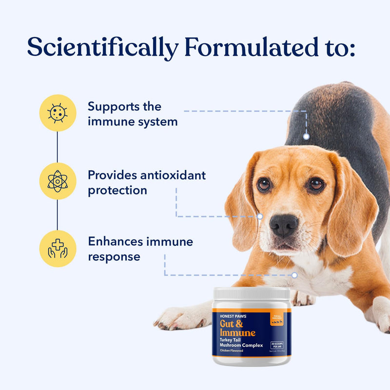 Honest Paws Turkey Tail Mushroom for Dogs - Digestive and Immune Support - Shiitake, Reishi, Maitake Mushroom Supplement Powder for Dogs - No Filler, No Additives - (30 Scoops) (Pack of 2) 30 Scoops (Pack of 2)