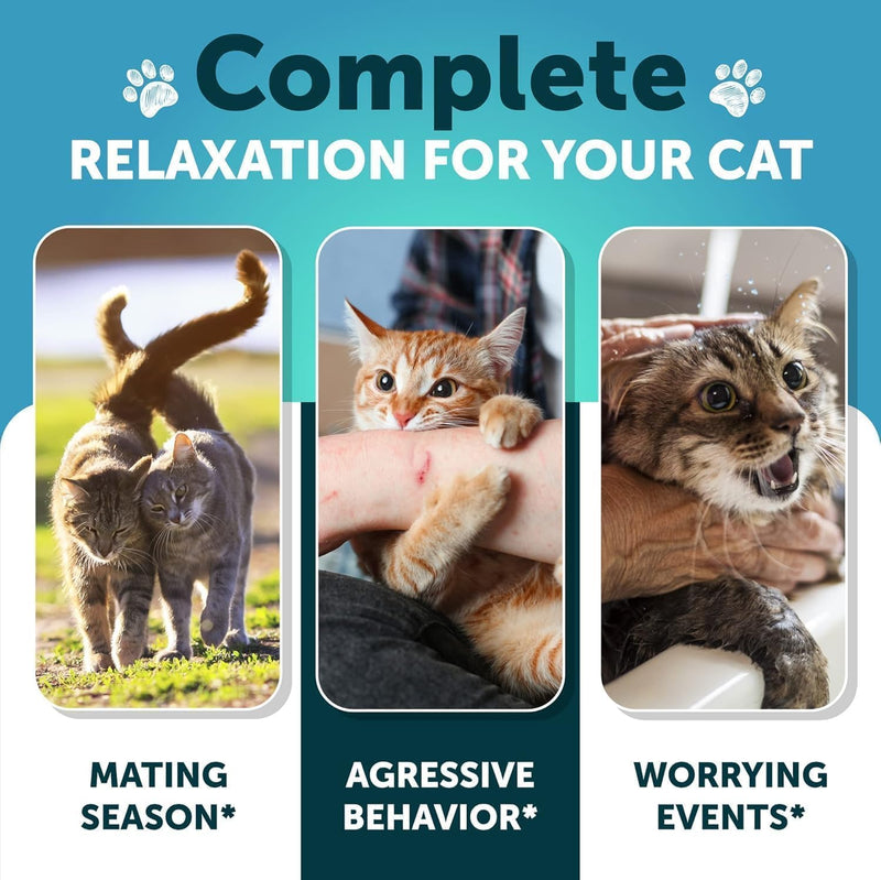 Cat Calming Treats - 2250 mg Hemp Oil per Pack - Stress & Anxiety Relief - Calming Cat Treats with Melatonin - Support Supplement for Vet Visits, Travel, Separation Anxiety, Fireworks - 135 Chews Cat Calming Chews 135 count