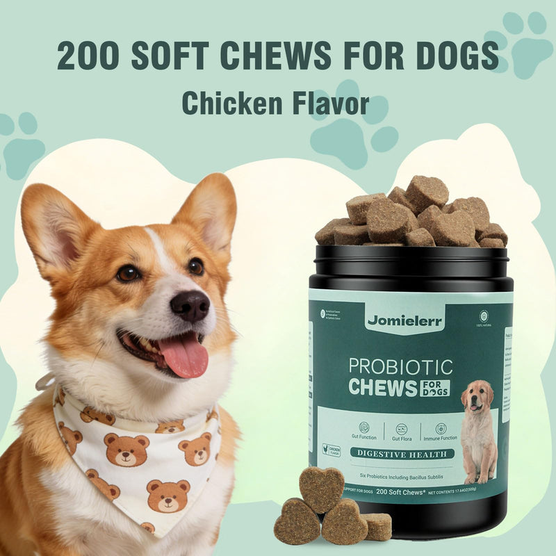 Probiotics for Dogs, 200 Soft Chews, Support Gut Health, Diarrhea Relief, Seasonal Allergies, Dog Probiotic Chews for Itchy Skin & Dog Yeast Infection, Chicken Flavor 200 Chews