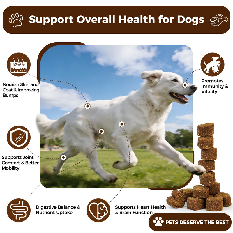Turkey Tail Mushroom for Dogs, 170 Count Mushroom Chews for Dogs, Chicken Flavor Mushroom Supplements for Dogs, Immune Support, Joints Health, Skin & Coat, Lumps & Bumps Care Multivitamin