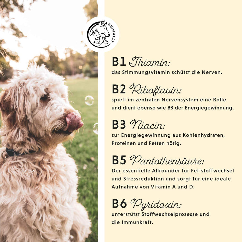 Annimally Vitamin B Complex Dog 120 tablets for up to 4 months I Vitamin B high dosage for dogs and cats with vitamin B1, B2, B3, B5, B6, B9, B12, vitamin K, L-tryptophan and selenium - PawsPlanet Australia