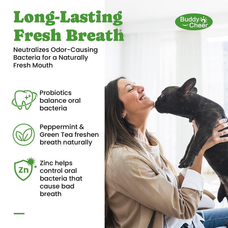 Digestive & Skin Support Chews + Dental Care Powder - Probiotics with Enzymes for Gut Comfort & Itch Ease, Tartar Control & Fresh Breath for Dogs & Cats - 180 Chews + 150g Powder