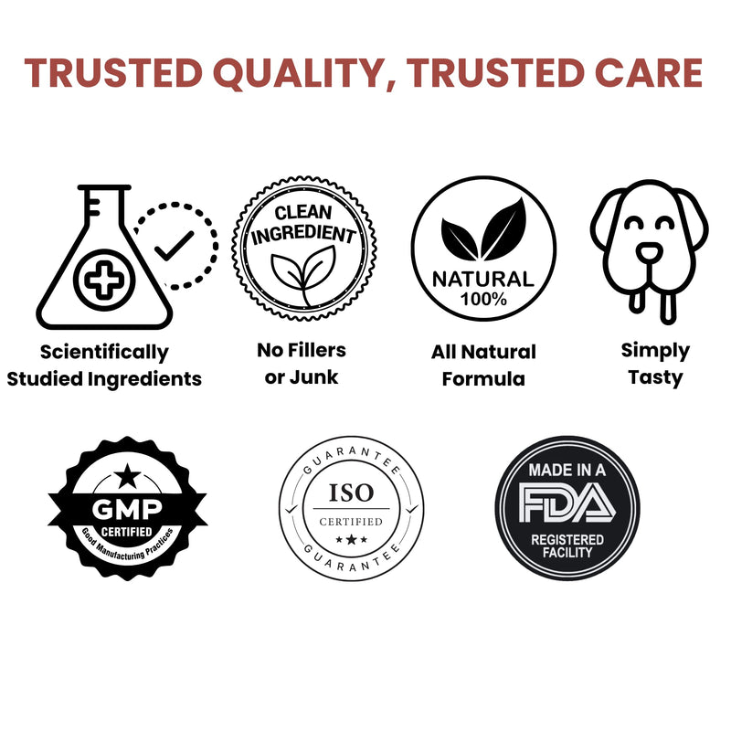 Noble Beast Dog Multivitamin Supplements, Soft Chews with Probiotics, Glucosamine Chondroitin Joint Support, Digestive Enzymes, Immune Support Vitamins for Skin & Coat, Chicken Flavor - 120 Count
