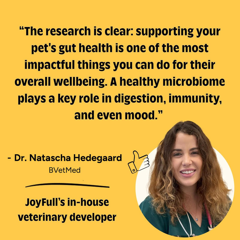 JoyFull Ultimate Dog Gut Health Bundle: Chicken Squeeze Treats (24 Ct) & Daily Probiotic Powder (30 Pkts) – Prebiotic & Probiotic Digestive Support, Immune Boost & Meal Topper for Picky Eaters