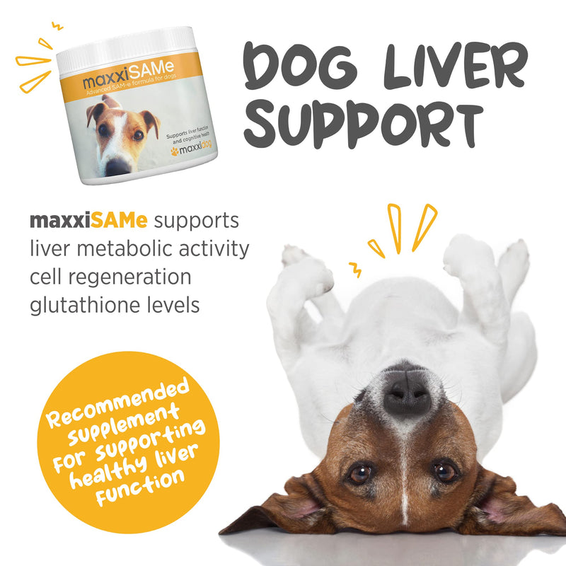 maxxiSAMe Sam-e Supplement for Dogs - Dog Liver and Cognitive Brain Support - Given with Food Powder 5.3 oz - PawsPlanet Australia