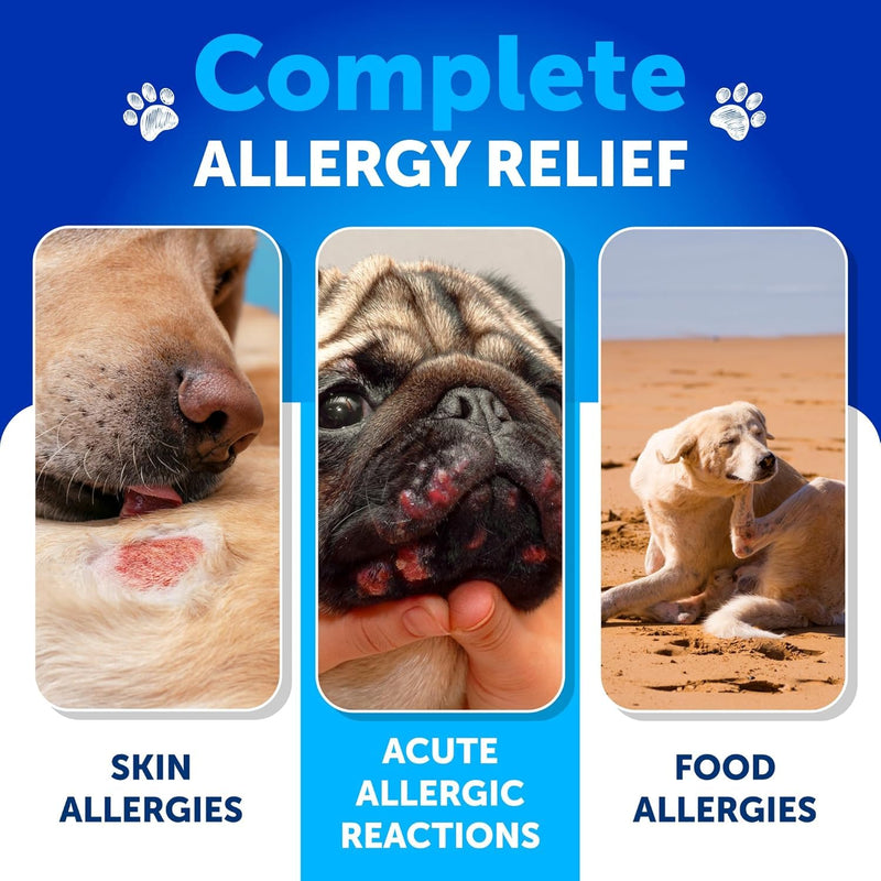Probiotics for Dogs - Support Gut Health, Itchy Skin, Allergies, Immunity, Yeast Balance - Dog Probiotics and Digestive Enzymes with Prebiotics - Reduce Diarrhea, Gas - 180 Probiotic Chews for Dogs 180 Treats