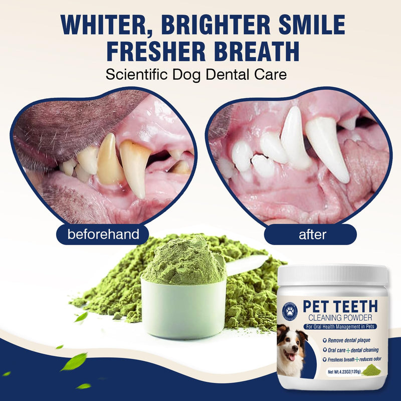Dental Powder for Dogs Teeth Fresh Breath and Teeth Cleaning Contains Natural Ingredients and Probiotics Dental Powder Dog Tartar and Plaque Removes Tooth Cleaner for Dogs 120g (60-Day Supply) 4.23Ounce