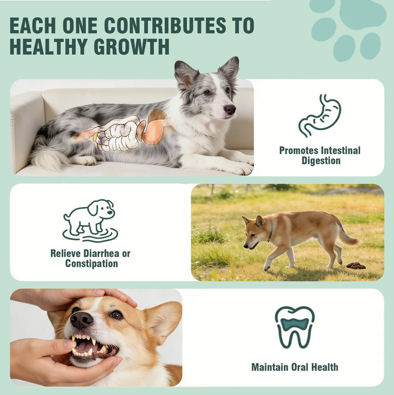 Probiotics for Dogs, 200 Soft Chews, Support Gut Health, Diarrhea Relief, Seasonal Allergies, Dog Probiotic Chews for Itchy Skin & Dog Yeast Infection, Chicken Flavor 200 Chews