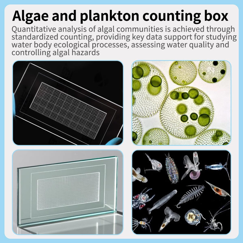 Plankton Counting Chamber Phytoplankton & Zooplankton Analysis (1ml 1000Grid) | Includes 100 Cover Slides and 1 handheld counter