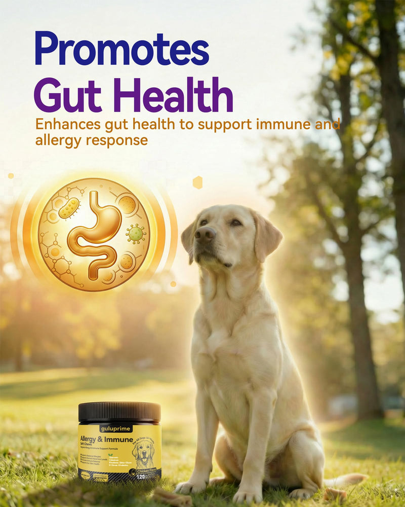 Dog Allergy Relief Chews – Seasonal Allergy Support for Dogs with Environmental Sensitivities, Immune & Gut Health Soft Chews for Allergy-Prone Dogs CK