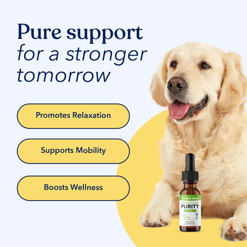 Honest Paws Hemp Oil for Dogs - Natural Hemp Seed Oil Calming Purity Drops for Dogs - Rich in Omega 3 6 9 to Promote Healthy Bones, Joint Support, Relaxation, Managing Normal Stress - Made in The USA