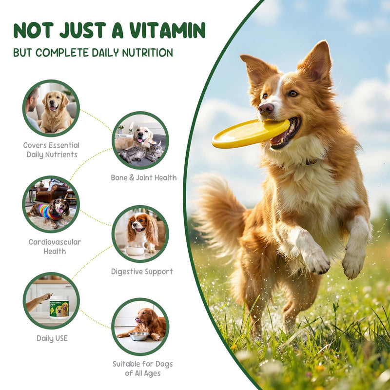 22-in-1 Grain-Free Dog Multivitamin Supplement – 90 Soft Chews for Hip & Joint Health, Immune Support, Healthy Coat & Overall Wellness – Vitamins A, B12, C, D, E, Minerals, and Antioxidants Pork