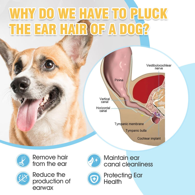 Dog Ear Powder for Hair Removal Kit – 42g Ear Powder for Dogs with Curved Grooming Tweezers, Helps Remove Excess Ear Hair & Reduce Odor for Poodles, Schnauzers, Shih Tzus & Other Breeds white