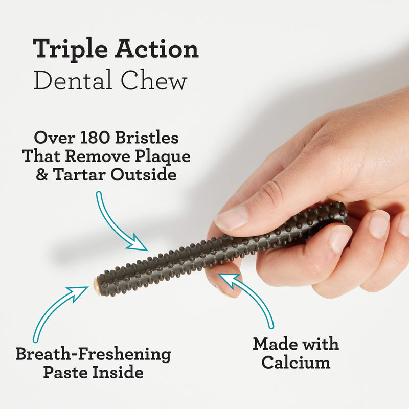 DreamBone Triple Action Dental Sticks Charcoal, 18 Count, Rawhide-Free Chews for Small and Medium Sized Dogs Freshens Breath (Pack of 2) 10 Ounce (Pack of 2)