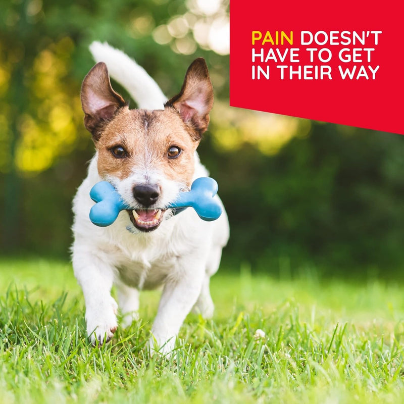 MediNatura T-Relief Pet Calming Tablets (90) + T-Relief Pet Pain Relief Tablets (90)