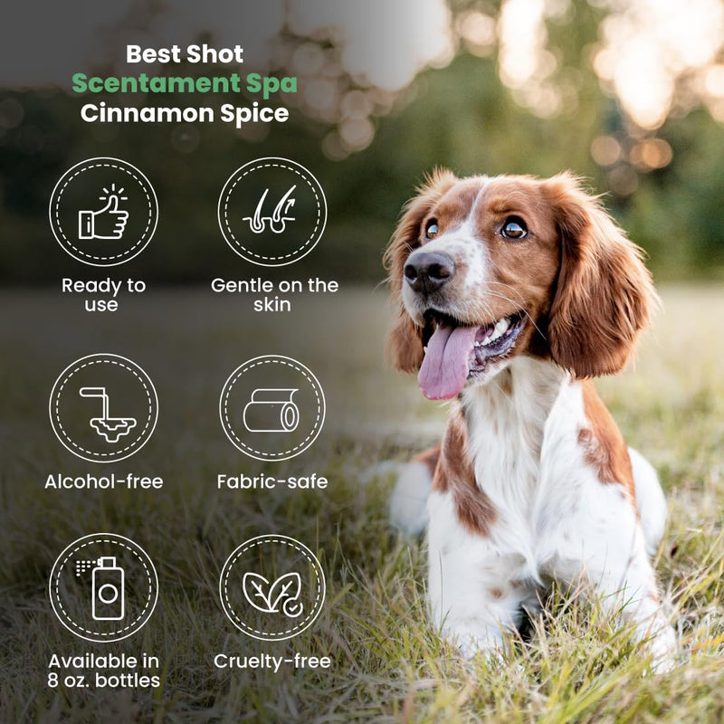 Best Shot Scentament Spa Botanical Body Splash, Body Spray Conditioner for Pets, Cat and Dog Cologne Spray, Alcohol-Free, Ready To Use, Cinnamon Spice, 8 Oz. - PawsPlanet Australia