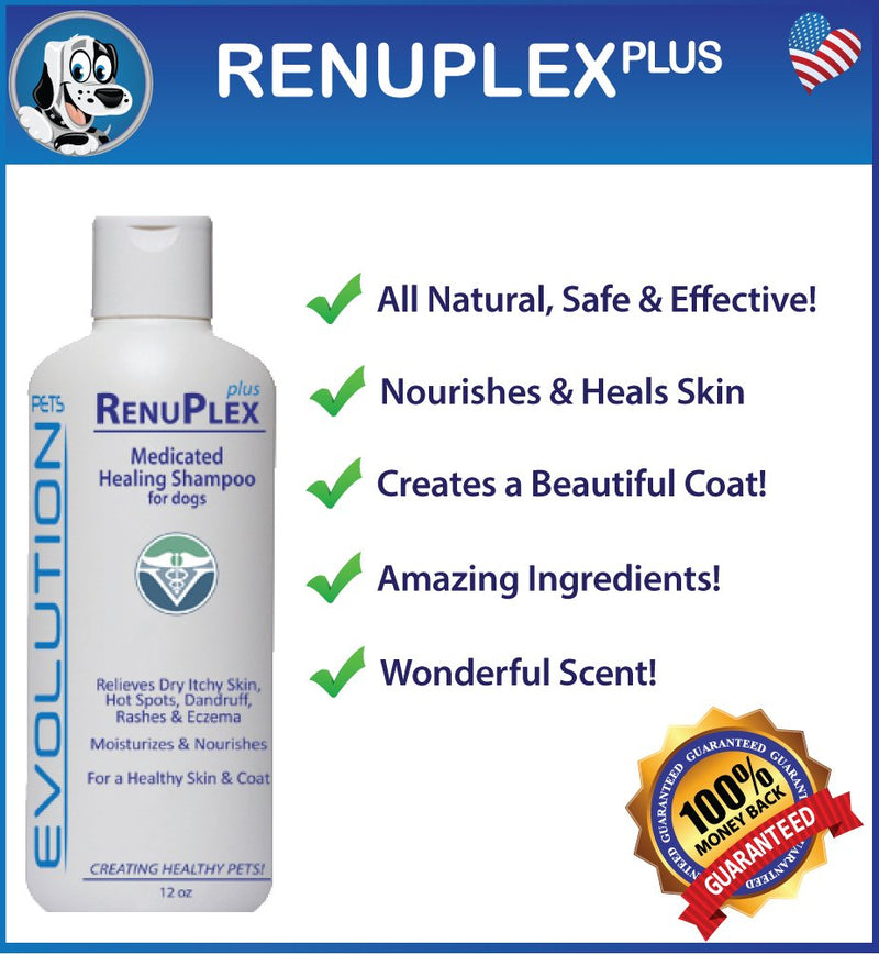 [Australia] - Evolution Pets Best Itchy Dog Shampoo. RenuPlex Plus Medicated Dog Shampoo. Safe, All Natural Dog Shampoo for Itchy Skin and Dog Dry Skin 