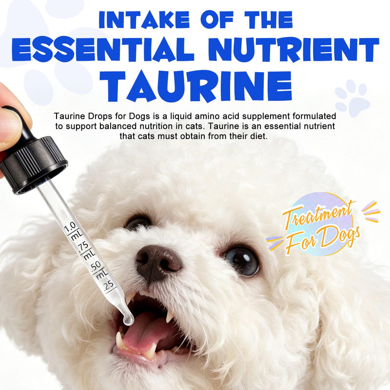 Taurine Liquid Supplement for Cats & Dogs, Pet Taurine Drops with Simple Daily Nutrition Formula, Easy-to-Mix Liquid for Daily Pet Wellness Support, 60 mL