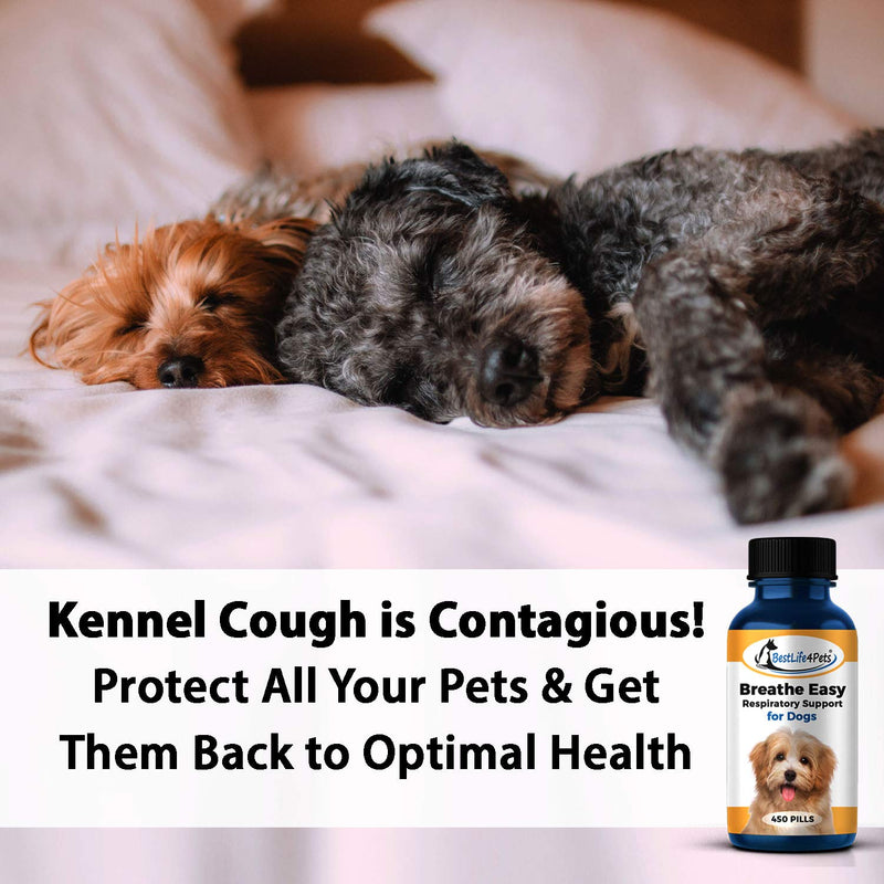 BestLife4Pets Breathe Easy Respiratory Support for Dogs - Natural Relief for Kennel Cough, Runny Nose, Sneezing and Sinus Congestion - Non-drowsy, Easy to Use (450 Pills) - PawsPlanet Australia