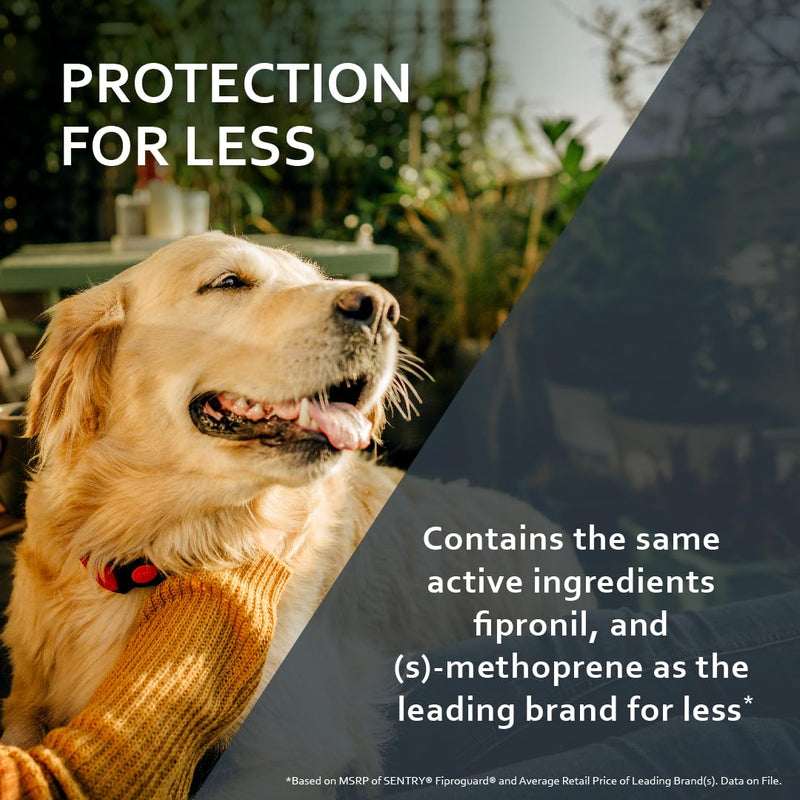 Sentry Fiproguard Plus for Dogs, Flea and Tick Prevention for Dogs (5-22 Pounds), Includes 3 Month Supply of Topical Flea Treatments 5-22 Pounds
