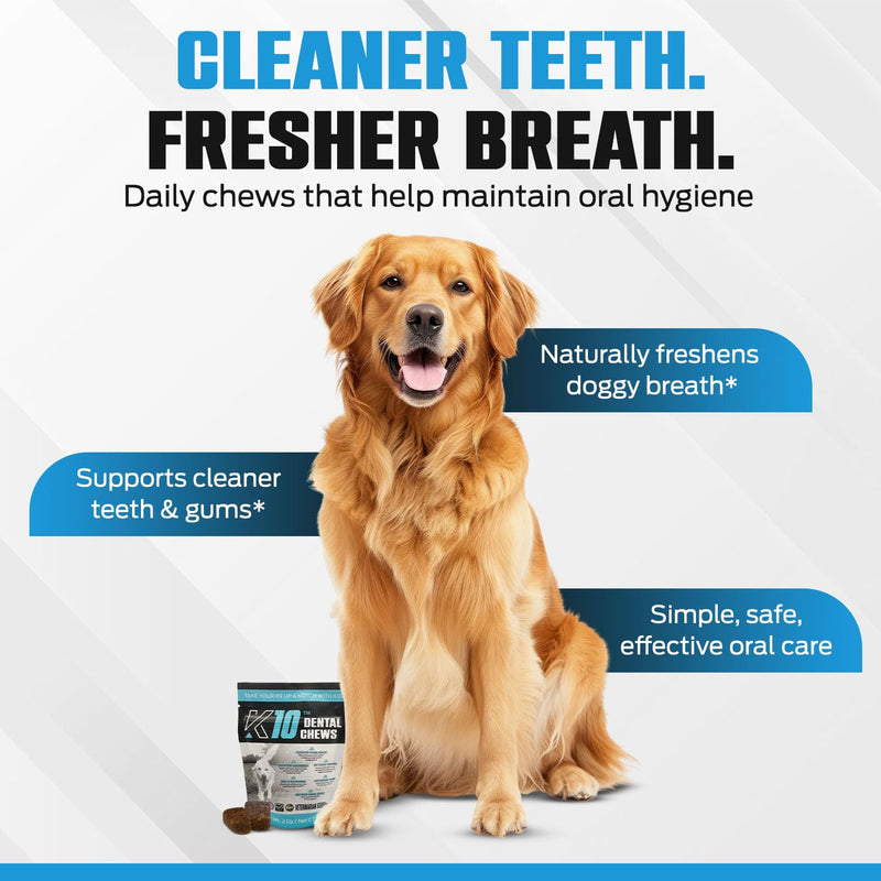 K10 Dental Chews (10 Count) – Low-Calorie Dog Chew with Human-Grade Ingredients – Dog Chews that Support Fresh Breath, Oral Hygiene, Digestion & Vitality – Vet-Preferred Dental Treats for Dogs Dental Chews 10 Count