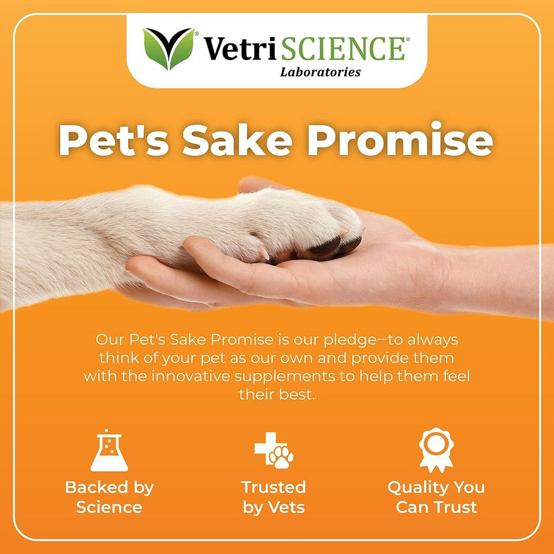 VetriScience Glycoflex 3 Clinically Proven Hip and Joint Supplement for Dogs, 120 Chews & Canine Plus MultiVitamin for Senior Dogs, 60 Chews - PawsPlanet Australia
