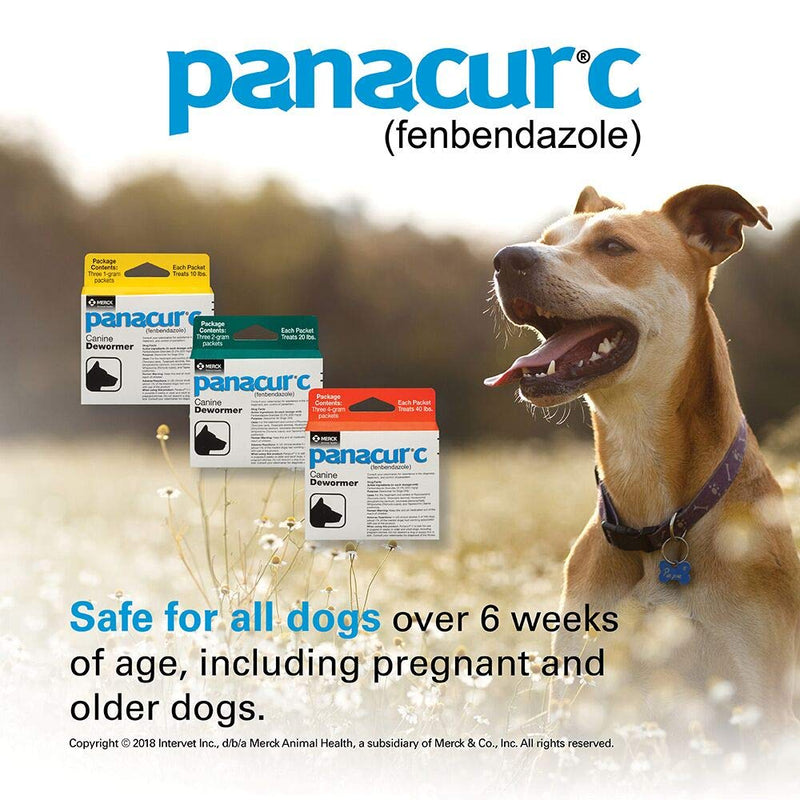 Panacur C Canine Dewormer (fenbendazole), 2 gram - PawsPlanet Australia