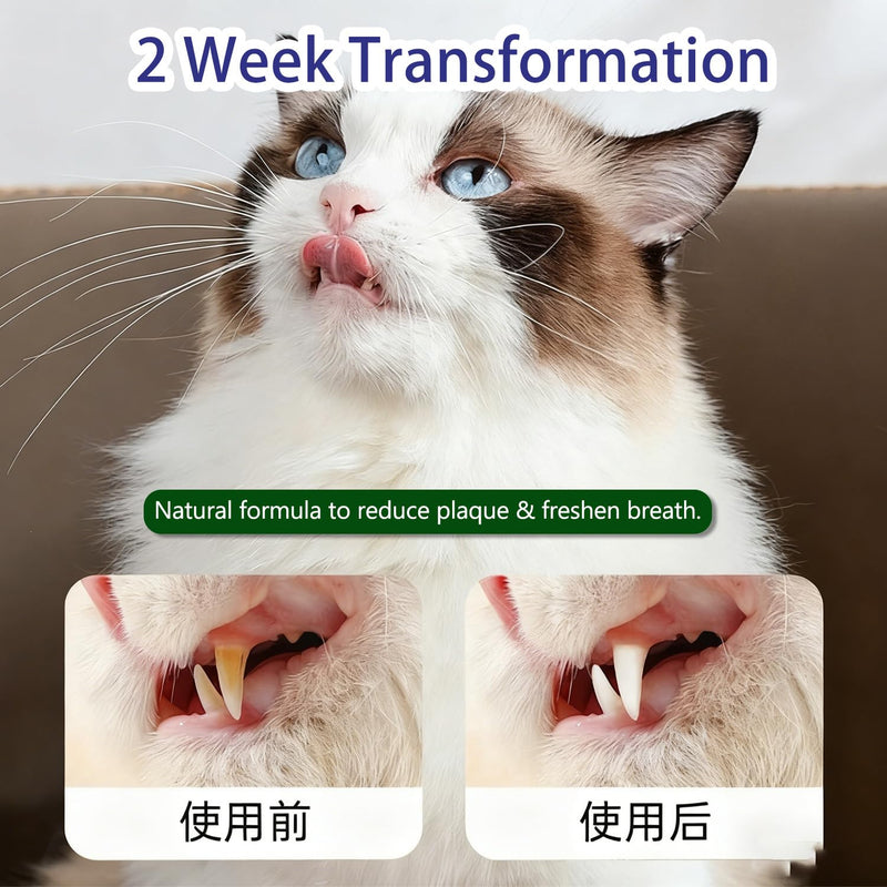 Glovoro Dental Powder for Cats, Cat Dental Powder, Relieve Gum Redness Tartar, Breath Freshener,Daily Dental Care Powder, 100g