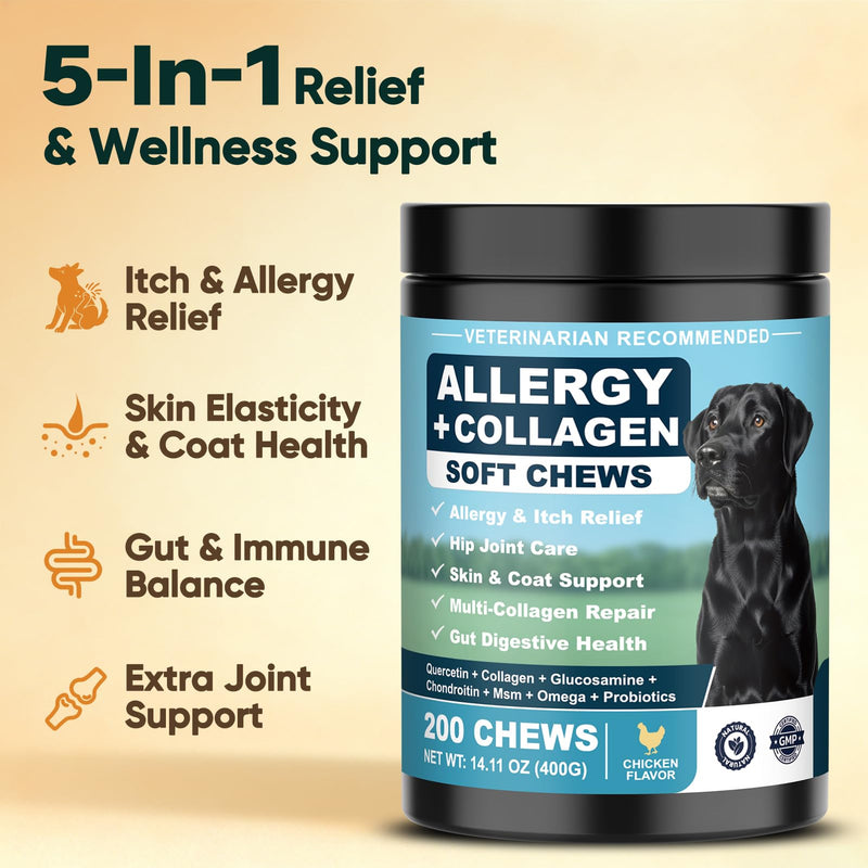 Dog Allergy Chews is Collagen Omega 3 Human Anti Itch Relief for Dogs Multivitamin Itching Skin Relief and Aller Immune Pet Allergy Chews Coat Licking Supplement Pills Meds Treats 200 Bites for Dogs 2 g/capsule 200pcs