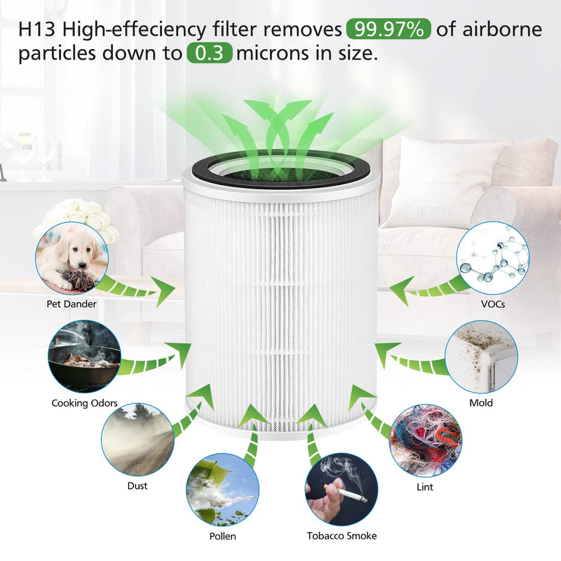TPAP001 Filter Compatible with TOPPIN TPAP001 Comfy Air C2 Air Purifier