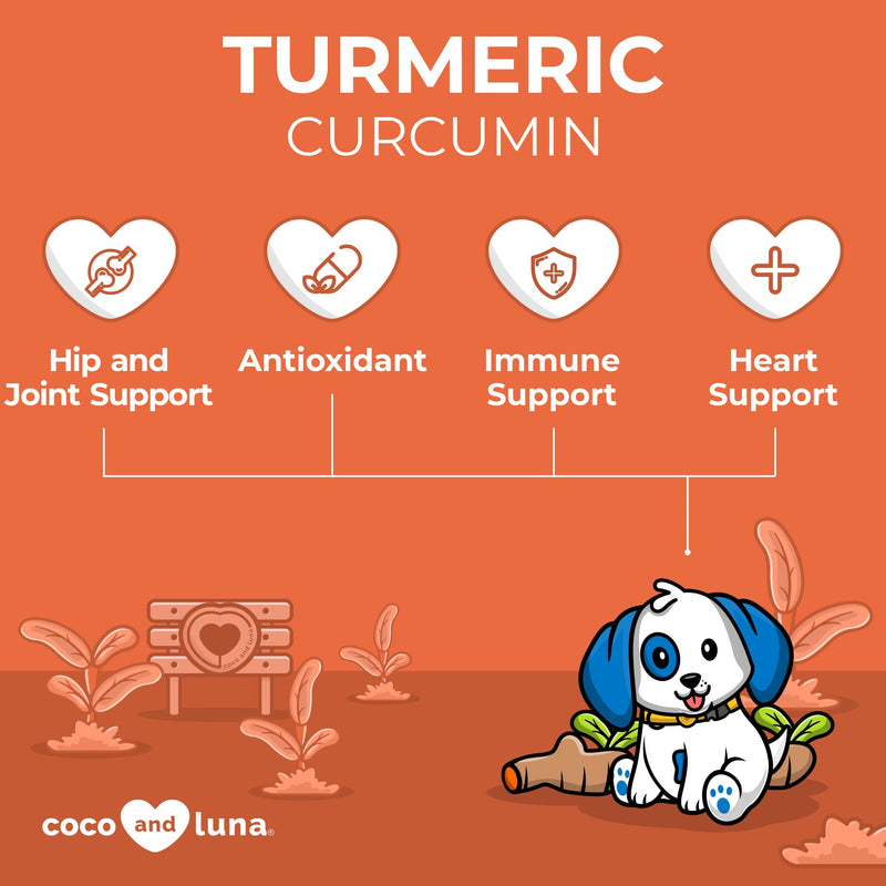 Turmeric for Dogs - Dog Anti Inflammatory Pain Relief, Dog Pain Relief, Dog Hip and Joint Supplement, Pain Relief for Dogs, with Curcumin and BioPerine 120 Tablets - PawsPlanet Australia