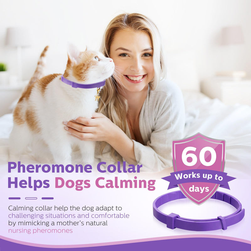Silkfly 16 Pcs Calming Collar for Cats with 16 Gold Lobster Clasp and 16 Pendants, Adjustable Cat Pheromone Collar Purple Calming Collar for Cats Anxiety and Stress Relief Cat Stop Meowing, 15 Inch - PawsPlanet Australia