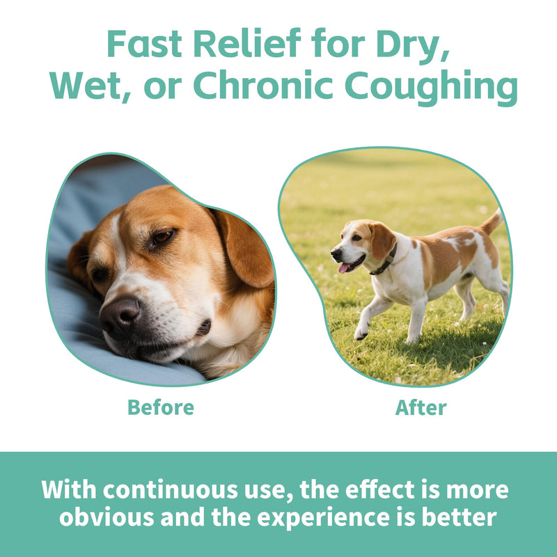 Kennel Cough Medicine for Dogs – Natural Respiratory Support | Helps Soothe Tracheal Collapse, Dry & Wet Cough, Choking & Wheezing | Honeysuckle, Licorice, Lemon Balm 200 Chew