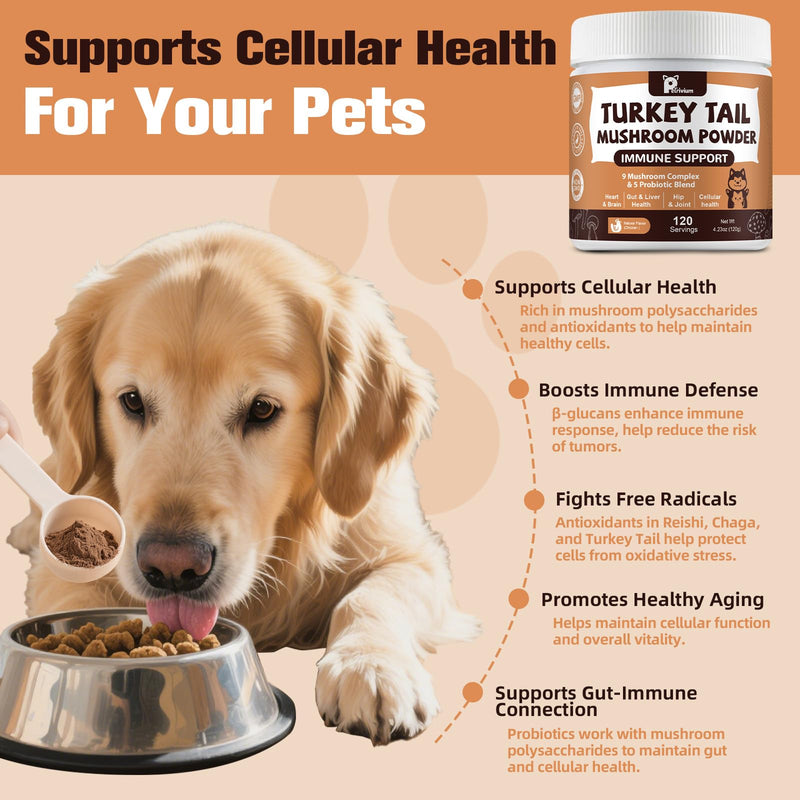 Mushroom Supplement with Probiotics for Dogs & Cats, Turkey Tail Mushroom for Pets - Mushroom Powder for Immune Boost & Overall Health- Partner Guard for Dogs Lumps and Bumps 1-Pack