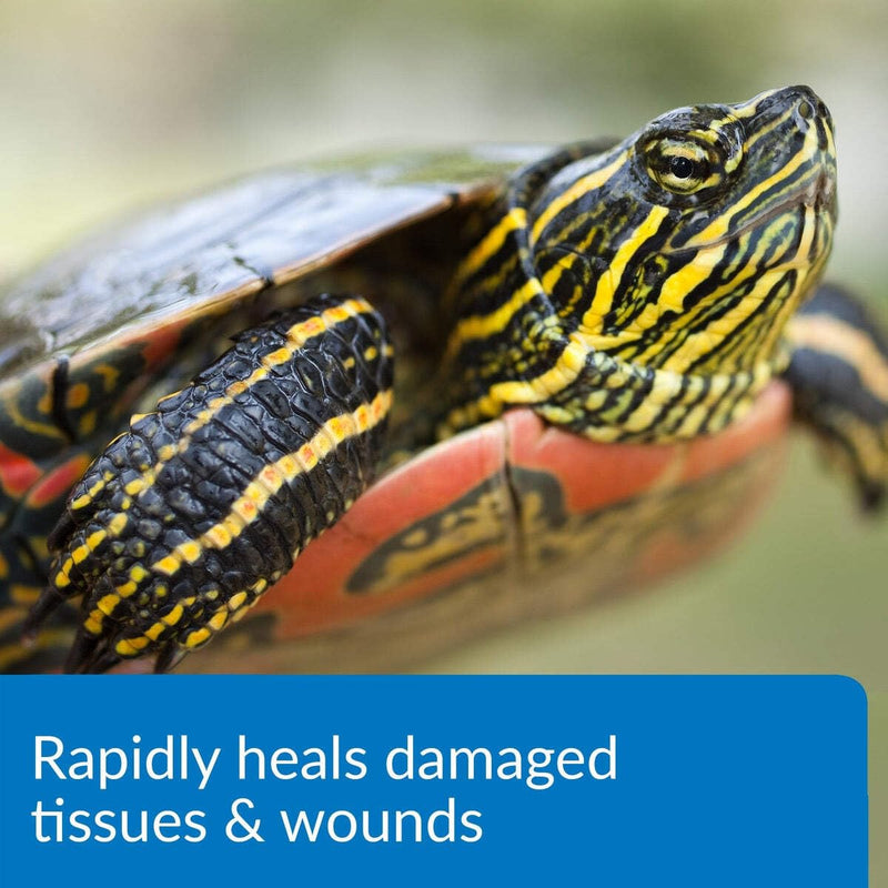 API TURTLE FIX Turtle Remedy 8-Ounce Bottle 8 Ounce