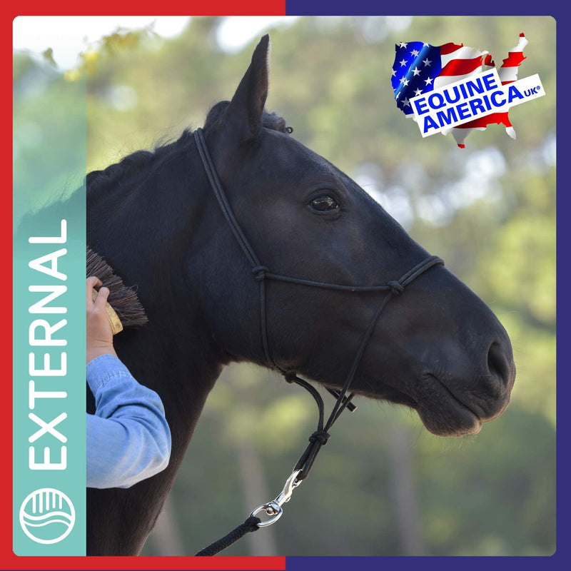Equine America Green Ice Cooling Gel | Premium Ready To Use Horse & Pony Skin Care | Joint & Muscle Tension Relief | 1.5 Litre - PawsPlanet Australia