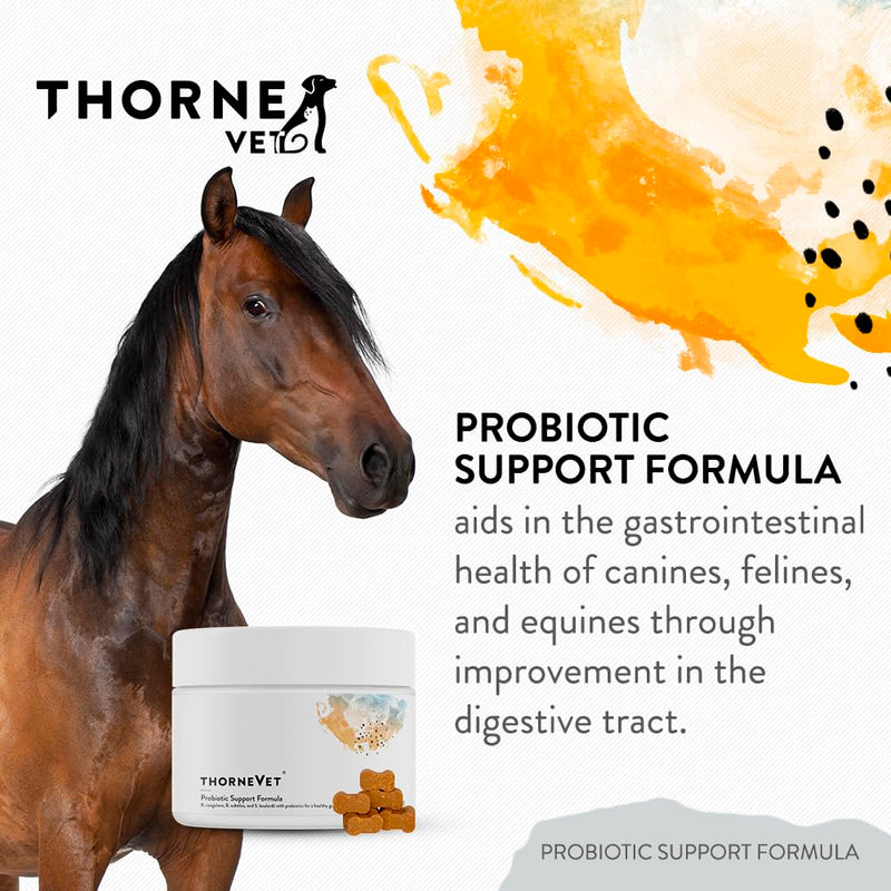 ThorneVET Probiotic Support Formula – Gastrointestinal Support for Dogs, Cats & Horses 60 Soft Chews - PawsPlanet Australia