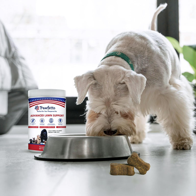 Advanced Lawn Support Supplement for Dogs, with Cranberry, Amino Acids, and Brewer’s Yeast, Easily Digestible, Chicken Liver Flavor, Perfect for Your Pampered Pet (70 Dog Chews) - PawsPlanet Australia