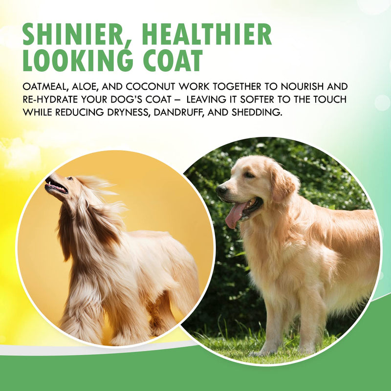 Fur Foam Dog Shampoo with Oatmeal, Coconut and Aloe. Hypoallergenic, Softens Coat, Moisturizes Dry Skin, Restores Shiny, Lathers from Bottle. (16.9oz) 16.9 oz - PawsPlanet Australia