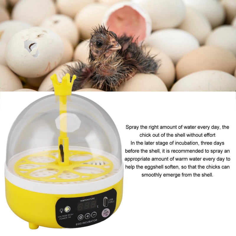 4 Eggs Mini Incubator, 7W USB Household Small Poultry Hatching Machine Automatic Temperature Humidity Control Egg Turner with Clear Lid Water Injector Spray Bottle for Chicken, Quail, Bird Eggs | ABS mini 4 egg incubator with auto turn humidity control...